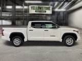 New 2025 Toyota Tundra SR5 image 5