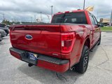 Certified 2023 Ford F150 XLT w/ Equipment Group 302A High image 3