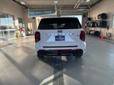 New 2025 Hyundai Palisade Calligraphy image 4