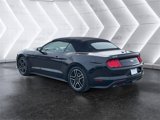 Used 2022 Ford Mustang Premium image 3