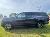 New 2025 Ford Expedition Max Active image 2