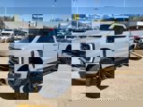 New 2025 Ford F250 Platinum w/ Tremor Off-Road Package image 3