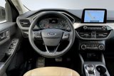 Certified 2022 Ford Escape SE w/ SE Sport Appearance Package image 5
