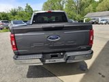 Used 2023 Ford F150 XLT image 6