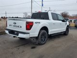 New 2025 Ford F150 XLT w/ Equipment Group 302A MID image 5