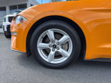 Used 2019 Ford Mustang Coupe image 2