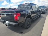 New 2025 Ford F150 XLT image 5