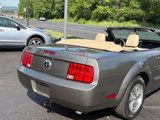 Used 2005 Ford Mustang Premium image 3