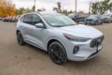 New 2025 Ford Escape ST-Line Elite image 5