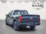 New 2025 Ford F150 XLT w/ Equipment Group 302A MID image 5
