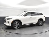 New 2025 INFINITI QX60 Sensory w/ Vision Package image 3