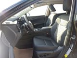 New 2026 Lexus NX 350 AWD w/ Luxury Package image 6