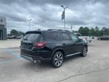 New 2025 Honda Pilot Elite image 3