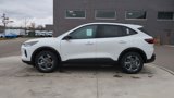 New 2025 Ford Escape ST-Line w/ Tech Pack #1 image 2