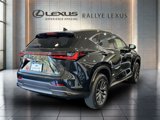 New 2025 Lexus NX 300h AWD w/ Luxury Package image 3