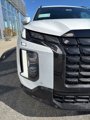 New 2025 Hyundai Palisade Calligraphy image 4