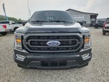 Used 2023 Ford F150 XLT w/ Equipment Group 302A High image 2