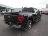 Certified 2024 Ford F150 XLT w/ Equipment Group 302A MID image 6