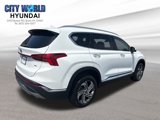 Used 2023 Hyundai Santa Fe SEL w/ Premium Package image 5