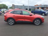 Used 2020 Ford Escape SEL image 6
