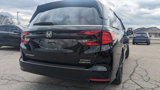 Used 2023 Honda Odyssey Sport image 3
