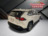 Certified 2024 Toyota RAV4 XLE image 2