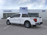 New 2025 Ford F150 XLT w/ Equipment Group 301A Standard image 4