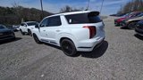 New 2025 Hyundai Palisade Calligraphy image 4