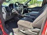 New 2025 Ford F150 STX w/ STX Black Appearance Package image 2