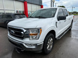 Used 2021 Ford F150 XLT w/ Equipment Group 301A Mid image 2
