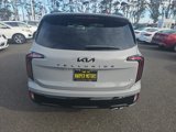 New 2025 Kia Telluride SX image 4