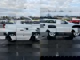 Used 2024 Chevrolet Silverado 1500 W/T w/ WT Fleet Convenience Package image 6