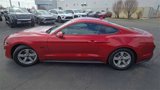 Used 2021 Ford Mustang Coupe image 5