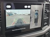 New 2025 Ford F150 XLT w/ Equipment Group 302A MID image 4