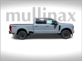 New 2025 Ford F250 Platinum image 2