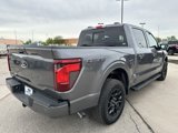 New 2025 Ford F150 XLT w/ Equipment Group 302A MID image 5