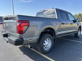 New 2025 Ford F150 XL w/ Tow/Haul Package image 6