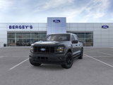 New 2025 Ford F150 STX image 2