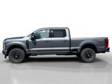 New 2025 Ford F250 Platinum image 2