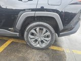 Certified 2024 Toyota RAV4 XLE Premium image 3