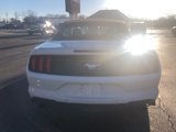 Used 2020 Ford Mustang Premium image 4
