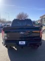 Used 2024 Ford F150 Tremor image 4