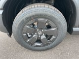 New 2026 Honda Passport RTL image 4