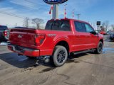 New 2025 Ford F150 XLT w/ Equipment Group 302A MID image 5