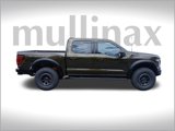New 2025 Ford F150 Raptor image 2