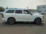 New 2026 Hyundai Palisade Calligraphy image 2