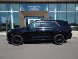 New 2025 Hyundai Palisade Calligraphy image 2
