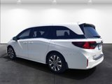 New 2025 Honda Odyssey Elite image 3