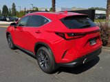 New 2025 Lexus NX 350 AWD w/ Premium Package image 3
