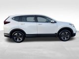 Used 2022 Honda CR-V Special Edition image 4